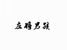 左将男孩