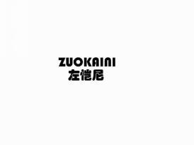 左恺尼