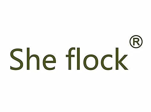 SHE FLOCK（英译：她的弗洛克）
