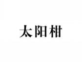 太阳柑