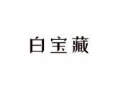白宝藏