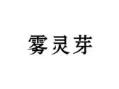 雾灵芽