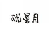 观星月