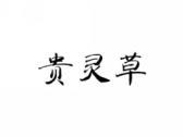 贵灵草