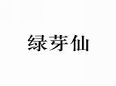 绿芽仙