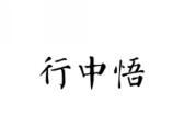 行中悟