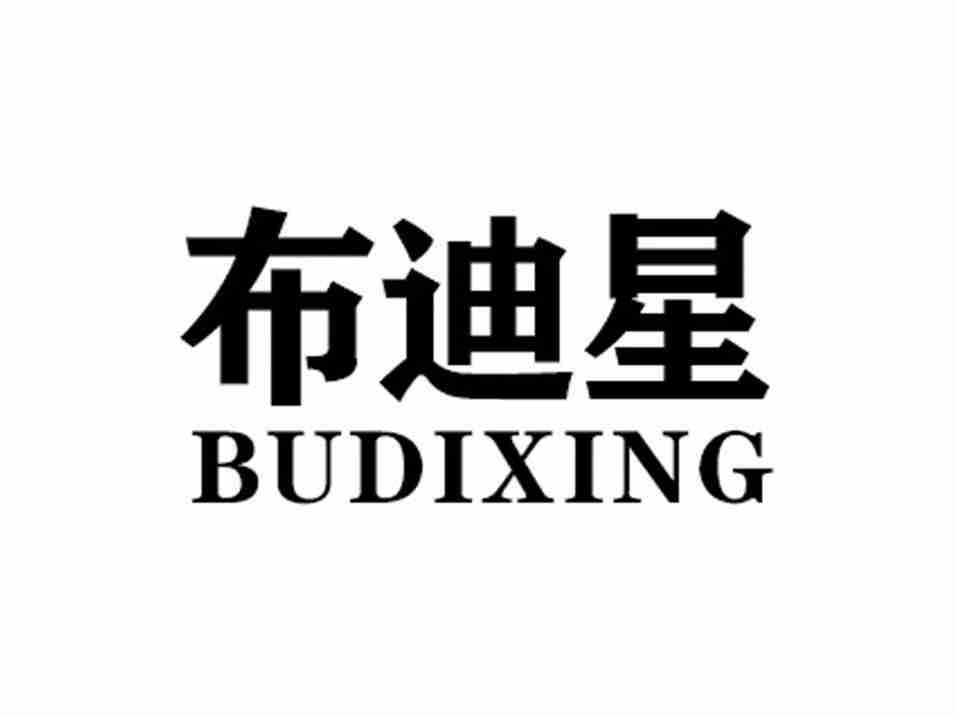 布迪星BUDIXING
