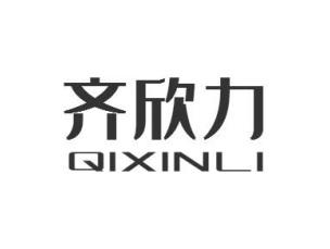 齐欣力QIXINLI