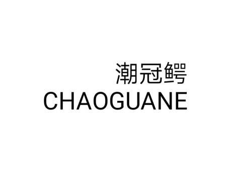 潮冠鳄CHAOGUANE