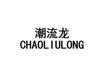 潮流龙CHAOLIULONG