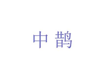 中鹊