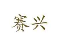 赛兴