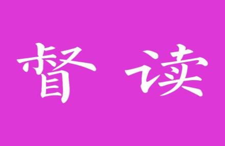 督读