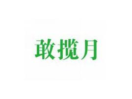 敢揽月