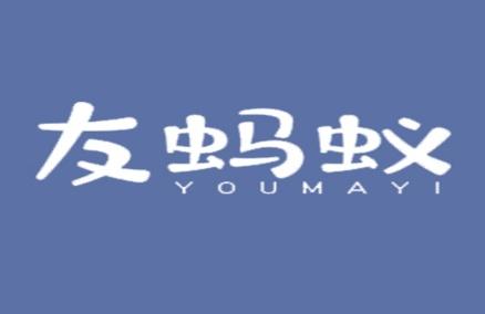 友蚂蚁