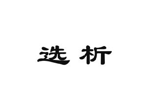 选析