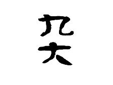 九大