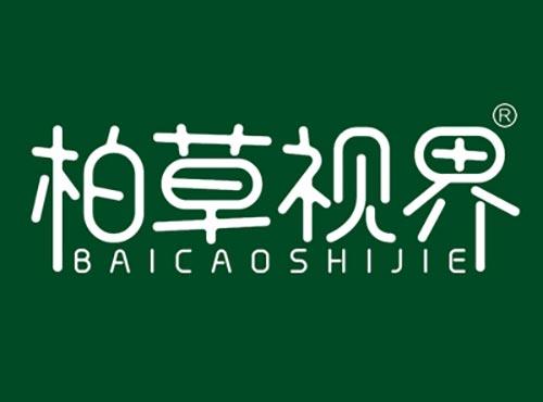 柏草视界BAICAOSHIJIE
