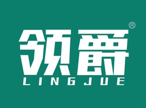 领爵LINGJUE