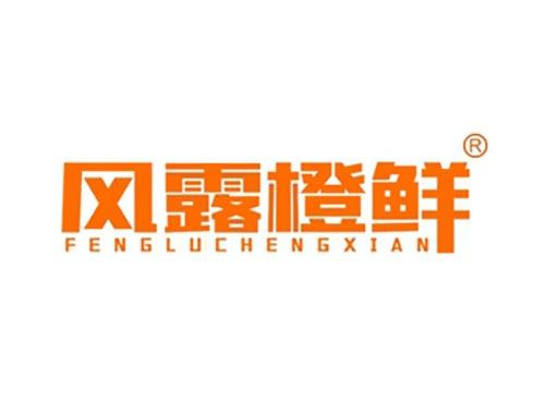 风露橙鲜FENGLUCHENGXIAN