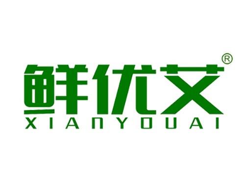 鲜优艾XIANYOUAI