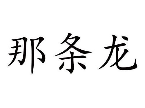 那条龙