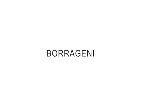 BORRAGENI