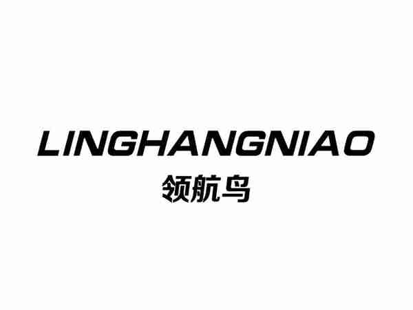 领航鸟+LINGHANGNIAO