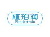 植珀润 PLANTBORRUIN