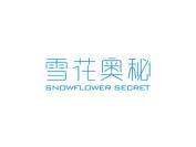 雪花奥秘 SNOWFLOWER SECRET