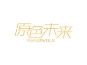 原色未来
