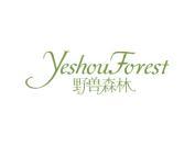 野兽森林 YESHOUFOREST