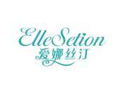 爱娜丝汀 ELLESETION
