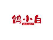 鸽小白