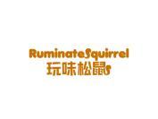 玩味松鼠 RUMINATESQUIRREL