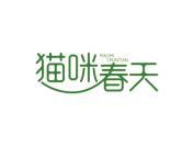 猫咪春天