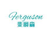 斐爵森 FEIGUSON