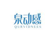 泉动感 QURVIDNEES