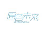原色未来