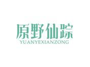 原野仙踪