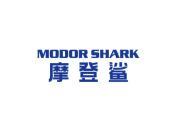 摩登鲨 MODOR SHARK