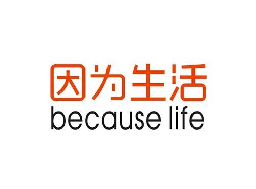 因为生活 because life