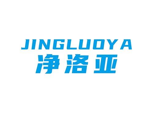 净洛亚JINGLUOYA10+11同名
