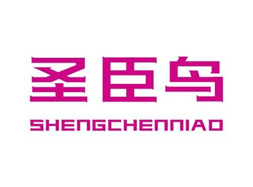 圣臣鸟SHENGCHENNIAO