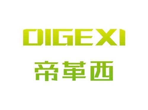 帝革西DIGEXI