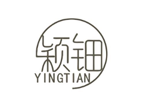 颖钿
YingTian