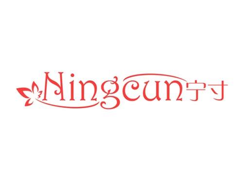 宁寸
NINGCUN