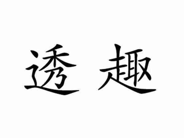 透趣