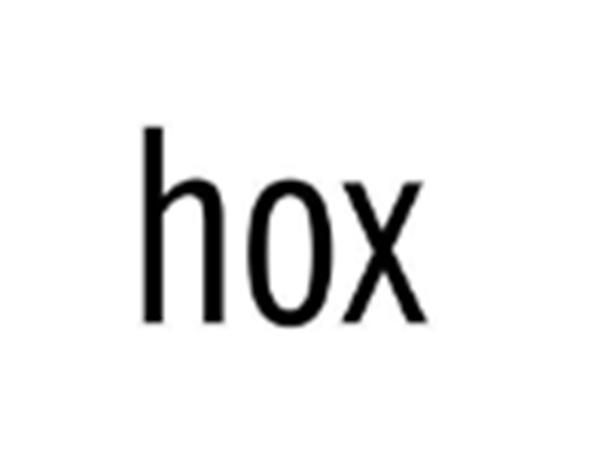 hox