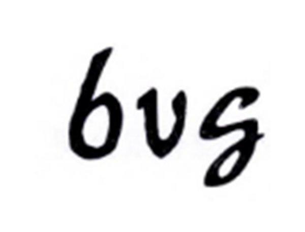 BVG